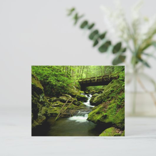 Brücke über Roaring Fork Postkarte (Stehend Vorderseite)