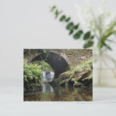 Brücke über Torc-Wasserfall Postkarte (Stehend Vorderseite)