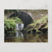 Brücke über Torc-Wasserfall Postkarte (Vorderseite)