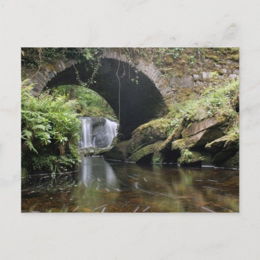 Brücke über Torc-Wasserfall Postkarte (Vorderseite)