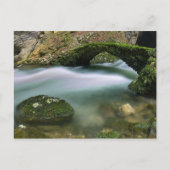 Brücke über unruhiges Wasser Postkarte (Vorderseite)