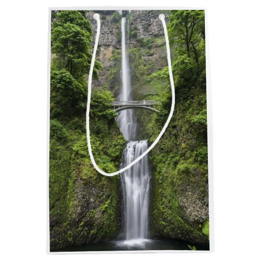 Brücke über Wasserfall-Landschaft Mittlere Geschenktüte (Vorderseite)