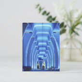 Brücke, unter der Beleuchtung, Hafen von Miami, Postkarte (Stehend Vorderseite)