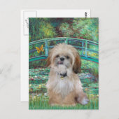 Brücke (Vertikal) - Shih Tzu (P) Postkarte (Vorne/Hinten)