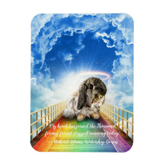 Brücke von vielen Farben Magnet