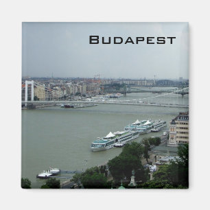 Brücken der Donaus Magnet