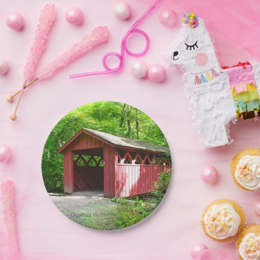 Brücken-Pappteller Pappteller (Party)