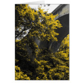 Brückenbrücke (Vorne)