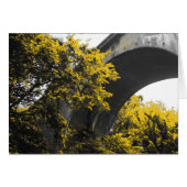 Brückenbrücke (Vorderseite (Horizontal))