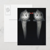 Brüder 2013 postkarte (Vorne/Hinten)