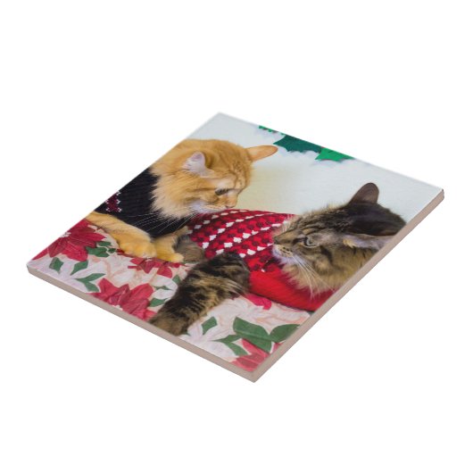 Brüder Fliese (Seite)