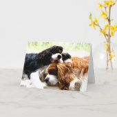 Bruder-Kavaliere Karte (Gelbe Blume)