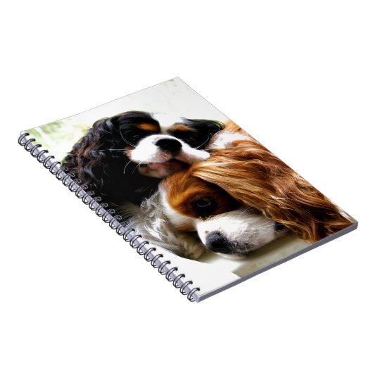 Bruder-Kavaliere Notizblock (Rechte Seite)