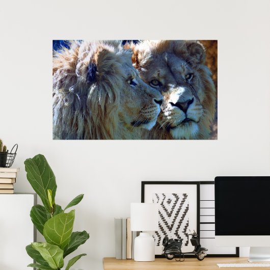 Brüder Poster (Heimbüro)