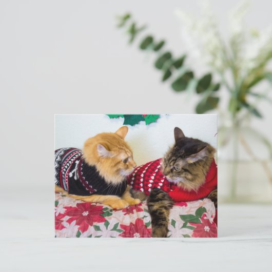 Brüder Postkarte (Stehend Vorderseite)