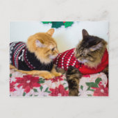 Brüder Postkarte (Vorderseite)