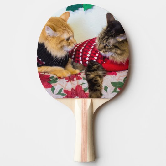 Brüder Tischtennis Schläger (Vorderseite)