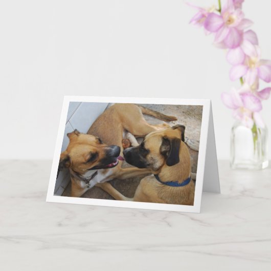 Bruder und Schwester, Dog Portrait Karte (Orchidee)