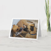 Bruder und Schwester, Dog Portrait Karte (Vorderseite)