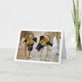 Bruder und Schwester, Dog Portrait Karte (Vorderseite)