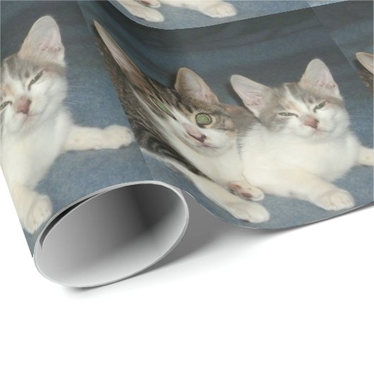 Bruder und Schwester Geschenkpapier (Rolleneckpunkt)