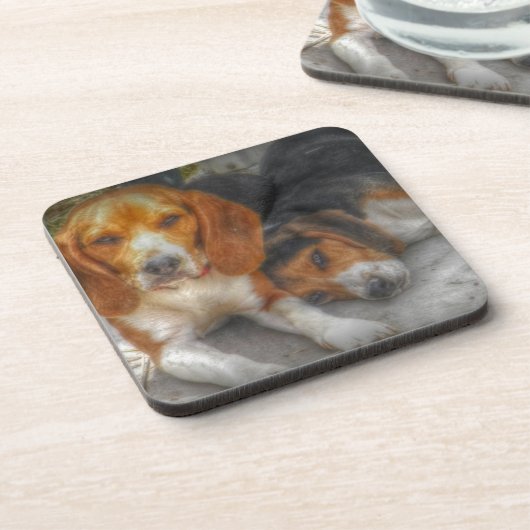 Brüderliche Beagles Untersetzer (Linke Seite)