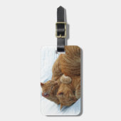 Brüderliche Liebe Gepäckanhänger (Vorderseite vertikal)