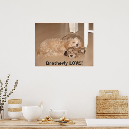 Brüderliche LIEBE! Poster (Küche)