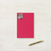 Brüderung mit frischem Fisch Post-it Klebezettel (Auf Schreibtisch)