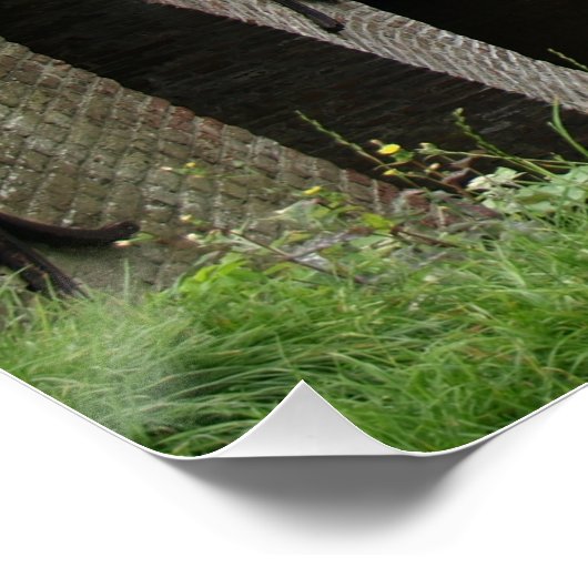 Brug, Dutch village  Poster (Ecke)