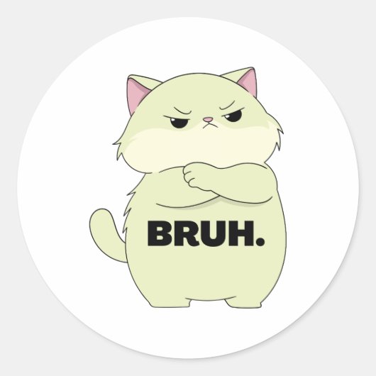 Bruh Kitty Sticker (Vorderseite)