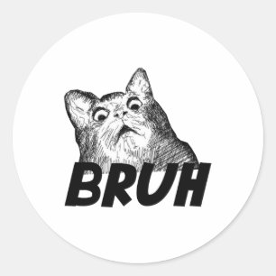 Bruh Shocked Gasp Cat Funny Runder Aufkleber