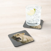 Brüllende Löwin Untersetzer (Rechte Seite)