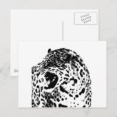 Brüllender Jaguar Postkarte (Vorne/Hinten)