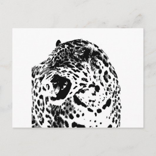 Brüllender Jaguar Postkarte (Vorderseite)