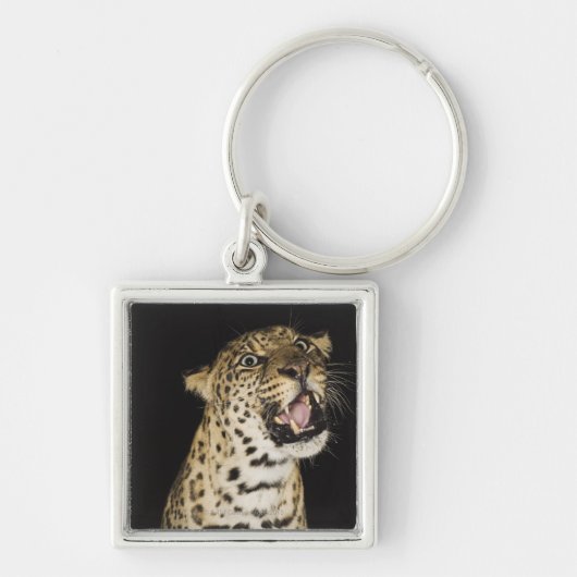 Brüllender Leopard Schlüsselanhänger (Vorne)