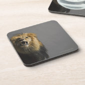 Brüllender Löwe Getränkeuntersetzer (Linke Seite)