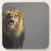 Brüllender Löwe Getränkeuntersetzer (Vorderseite)