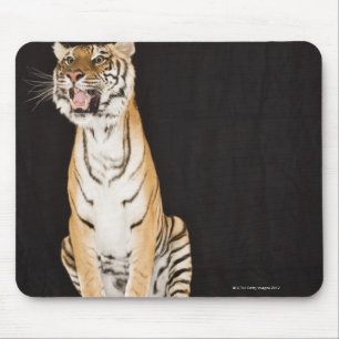Brüllender Tiger Mousepad