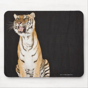 Brüllender Tiger Mousepad