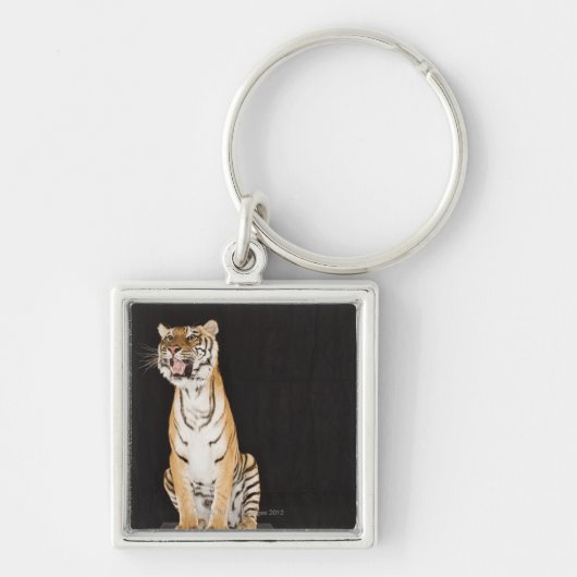 Brüllender Tiger Schlüsselanhänger (Vorne)