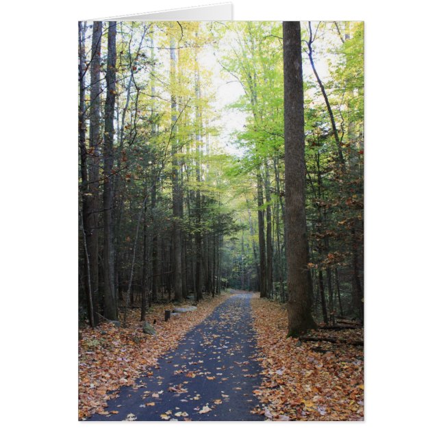 Brüllengabel im Fall (Vorne)