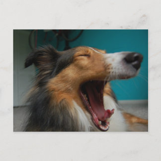 Brüllenhund Postkarte