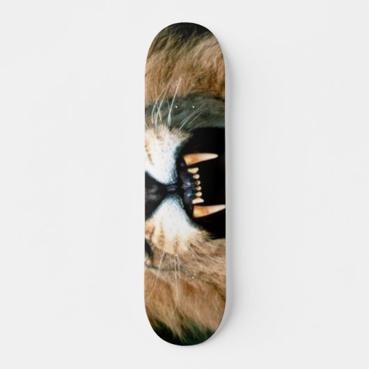 Brüllenlöwe Skateboard (Vorne)