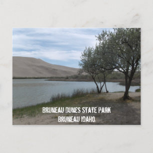 Bruneau Dunes Staat Park Postkarte