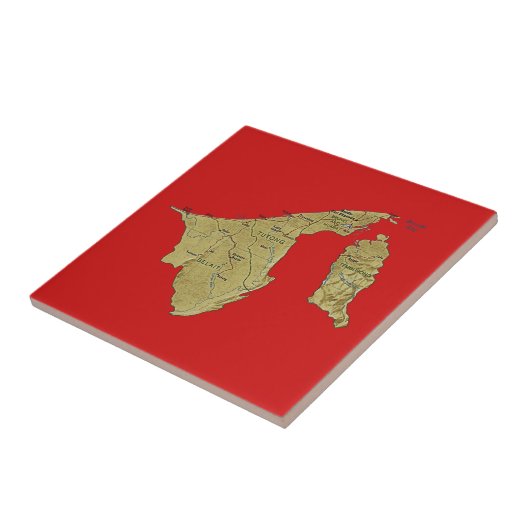Brunei Map Tile Fliese (Seite)