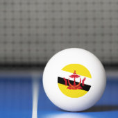 Brunei Tischtennisball (Netto)