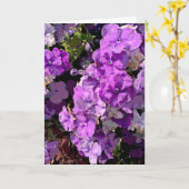 Brunfelsia Karte (Gelbe Blume)