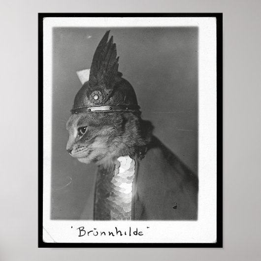 Brunhild Brunhilda Brynhild Brünhilde Cat Poster (Vorne)