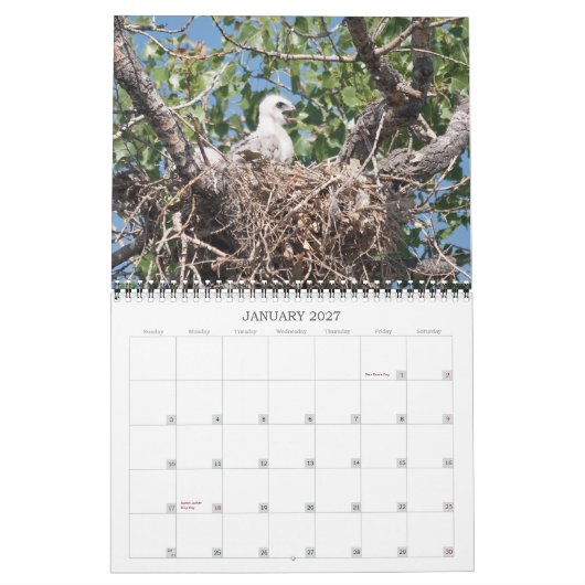 Brunnen 2011 kalender (Jan 2027)